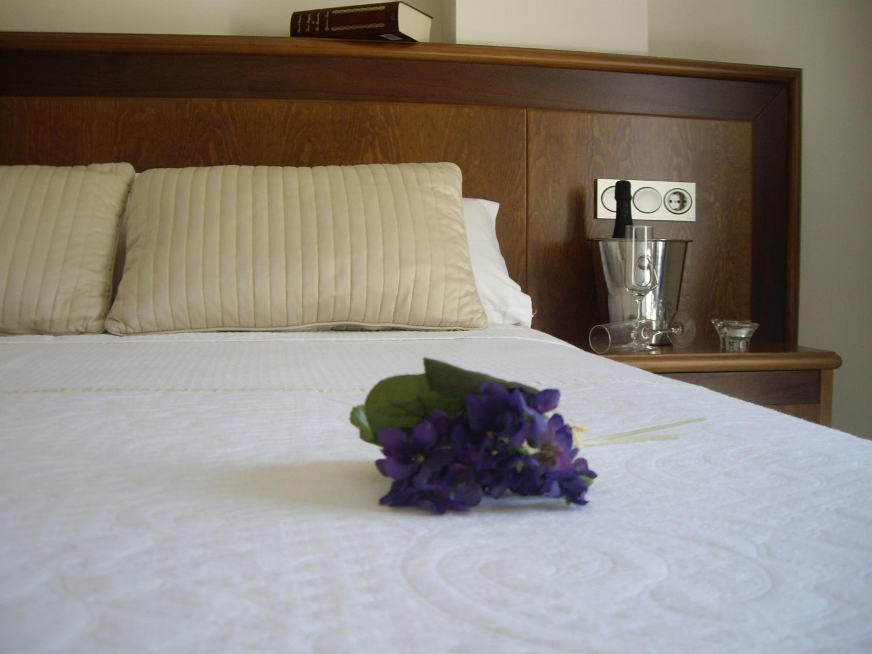 Фото Hotel San Sebastian Hospederia