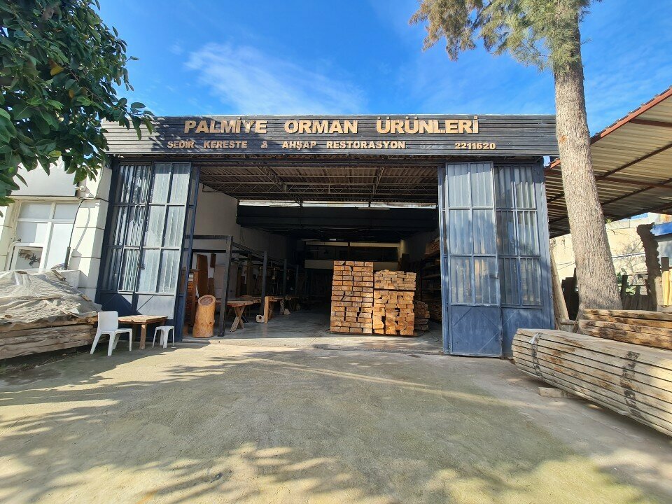 Lumber Palm Forest Products, Antalya, photo