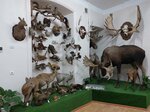 Museum Hunting (Timiryazev street, 59), museo
