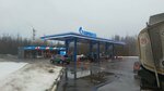 Public bathroom (St. Petersburg Highway, 130к1), toilet