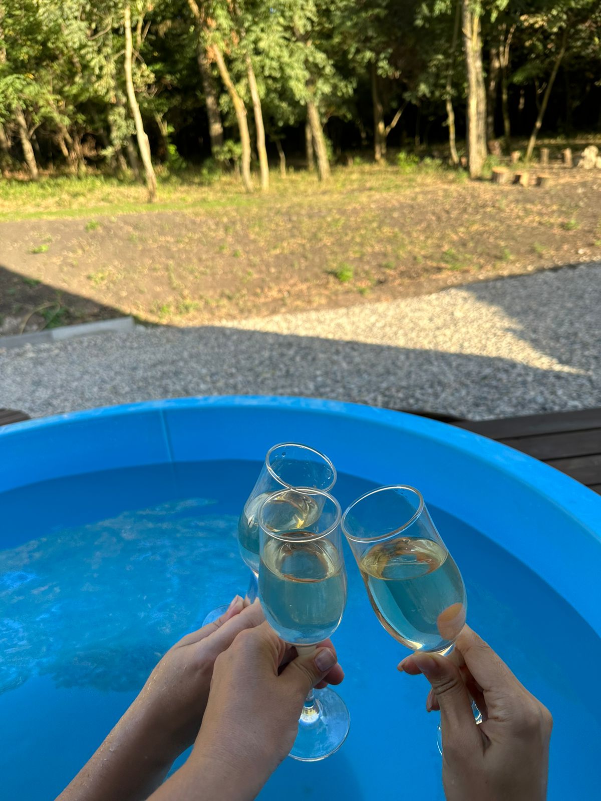 Фото Лесной уголок