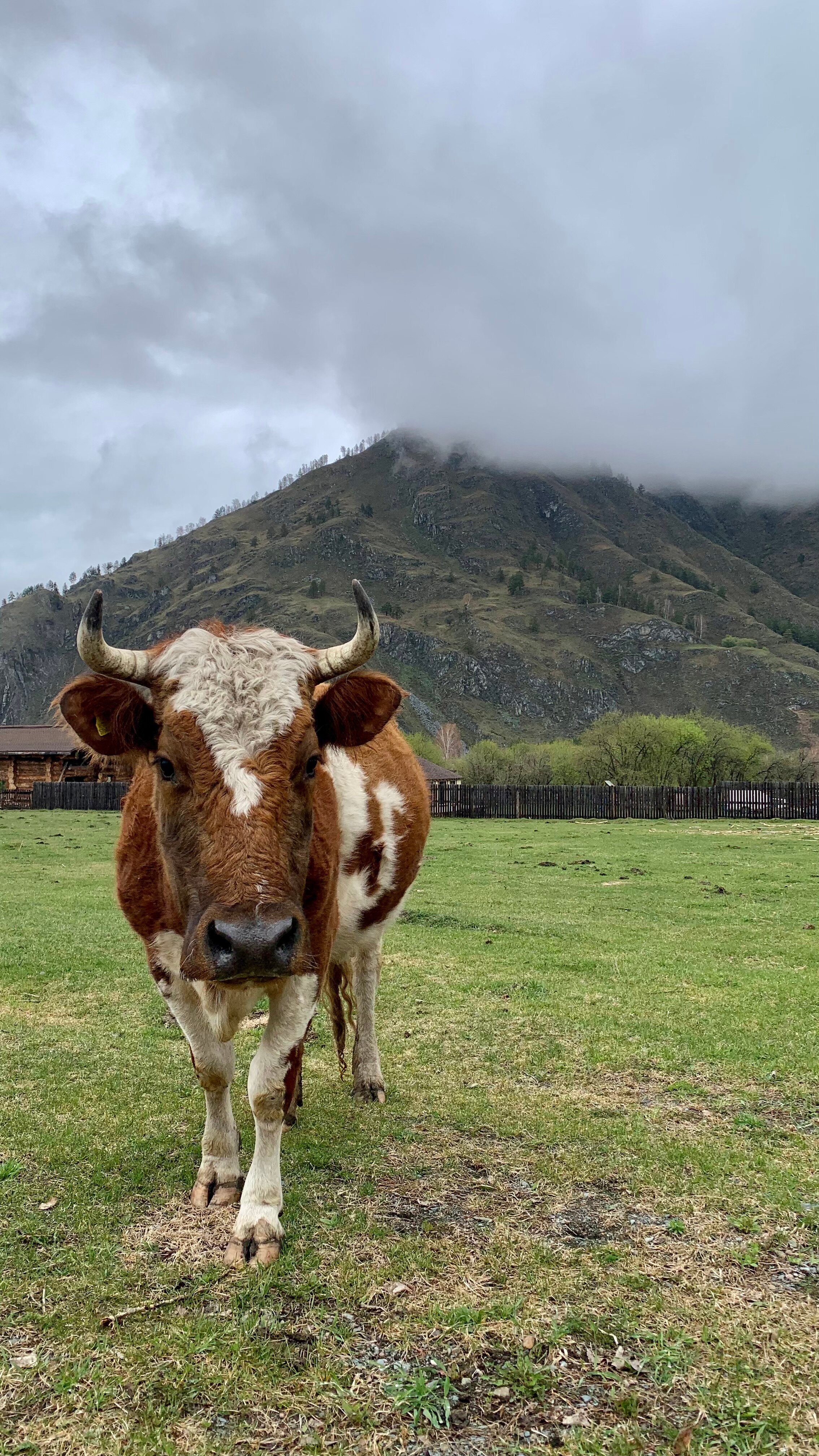 Фото Эко Ранчо