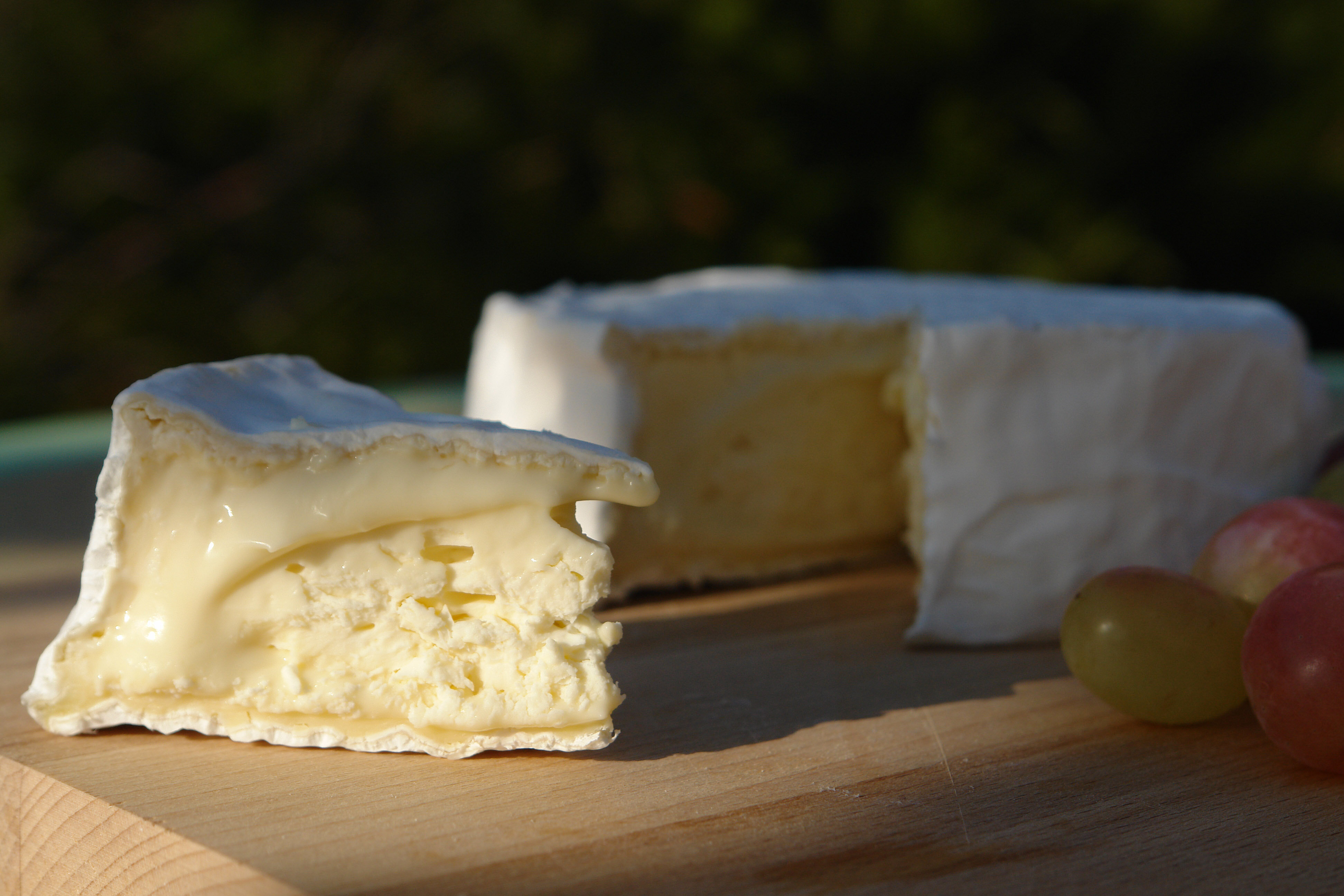 Фото Панорама