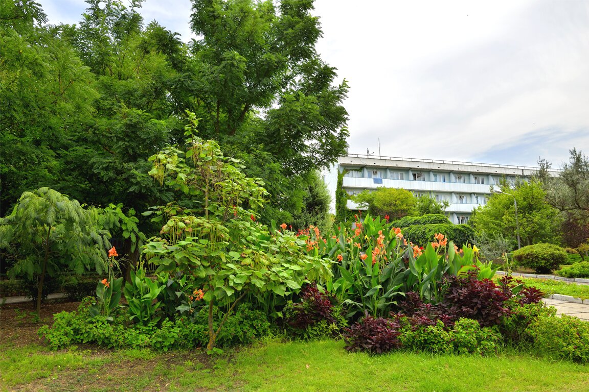 Фото Крымское Приазовье