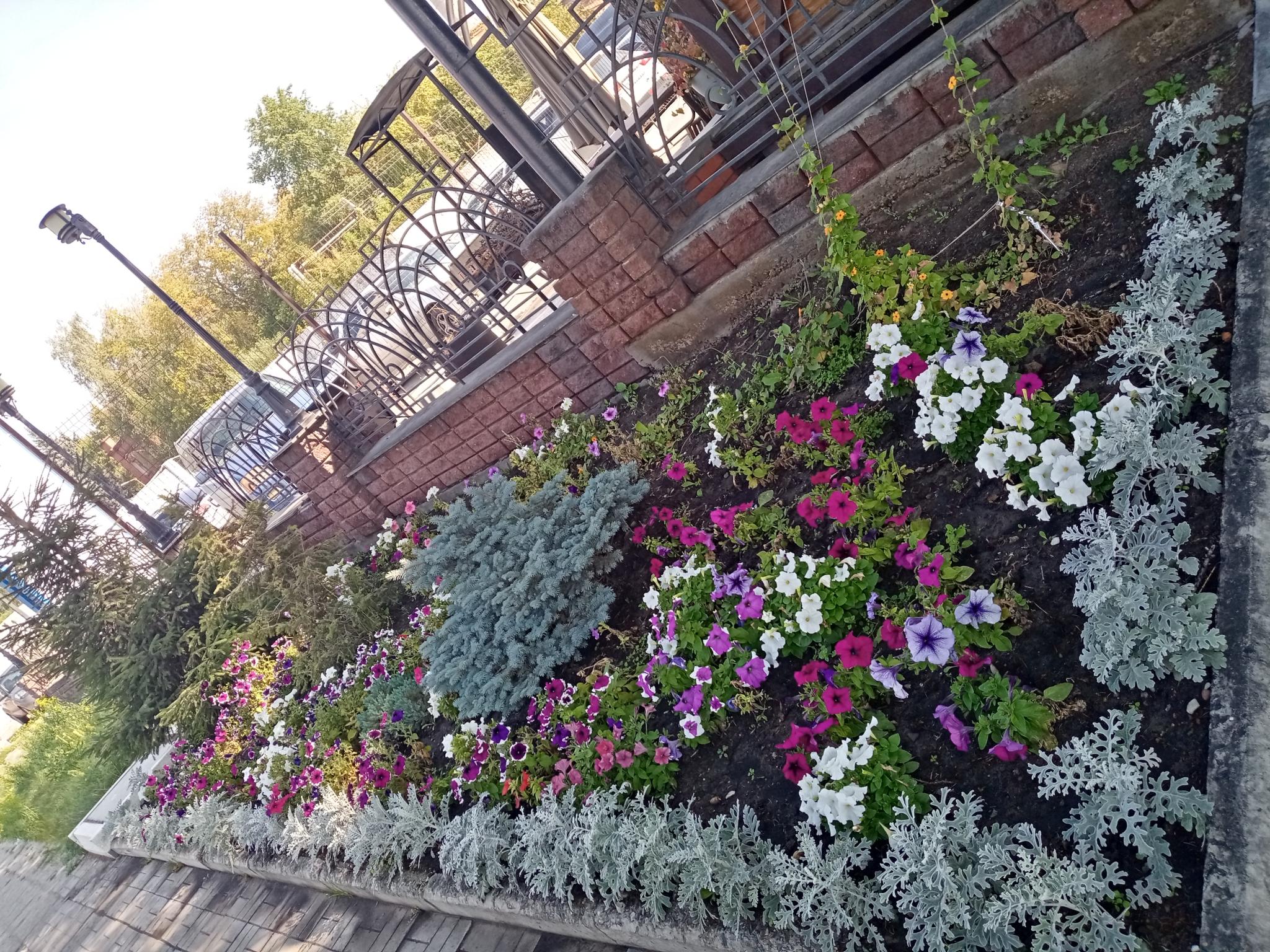 Фото Партком