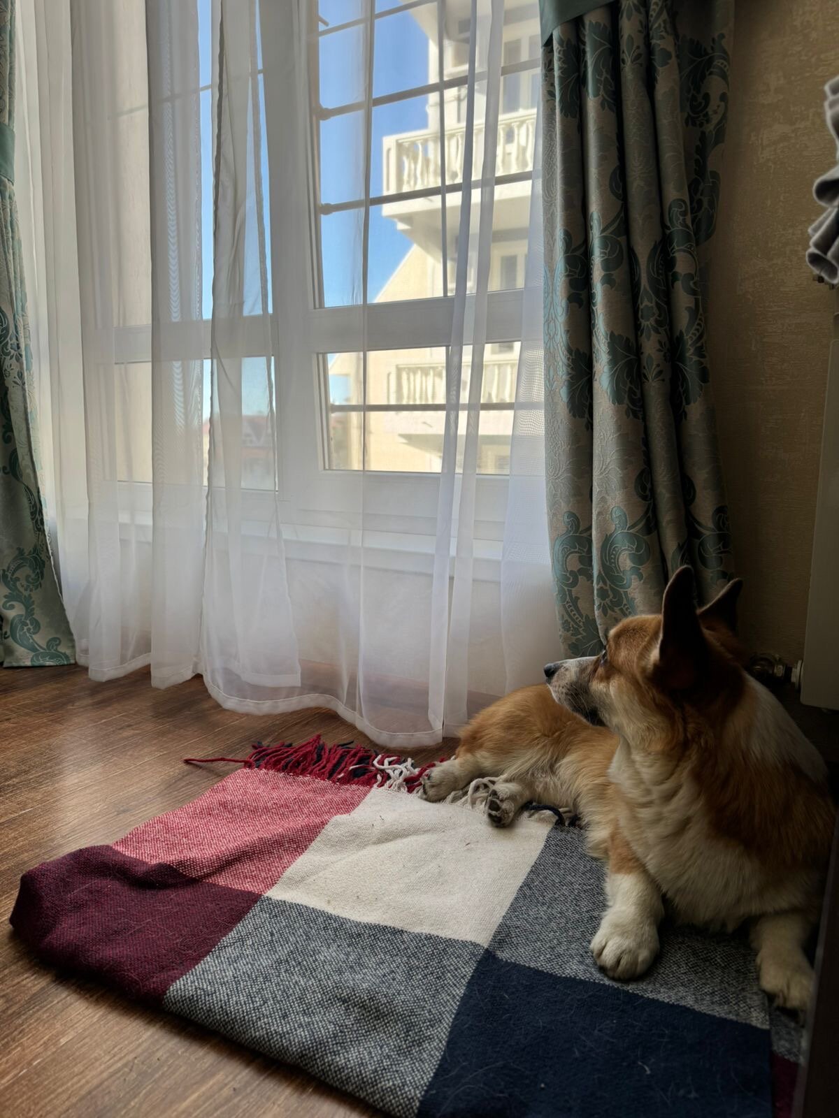 Фото Альмира