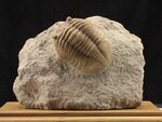 Geoartefact (Kommuny Street, 67), gift and souvenir shop