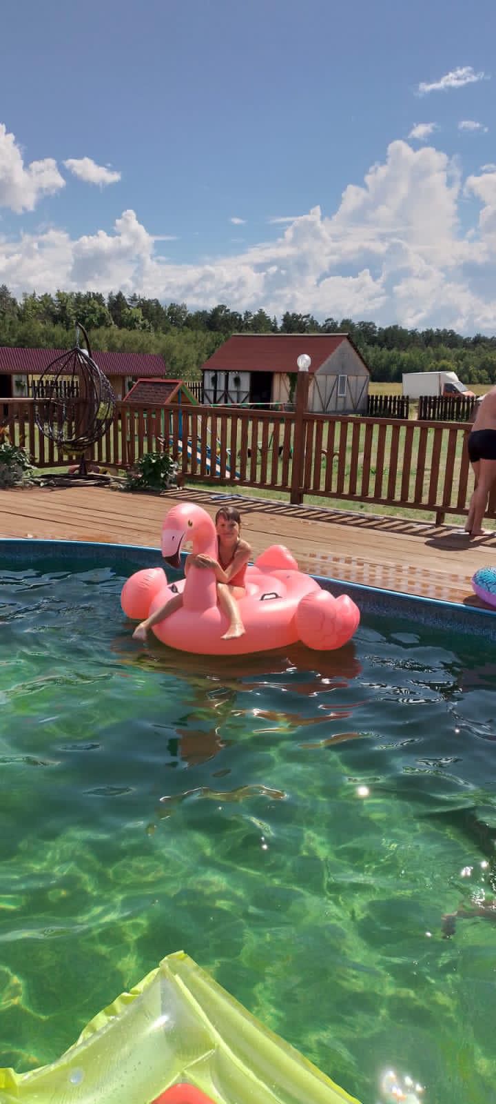 Фото Фламинго