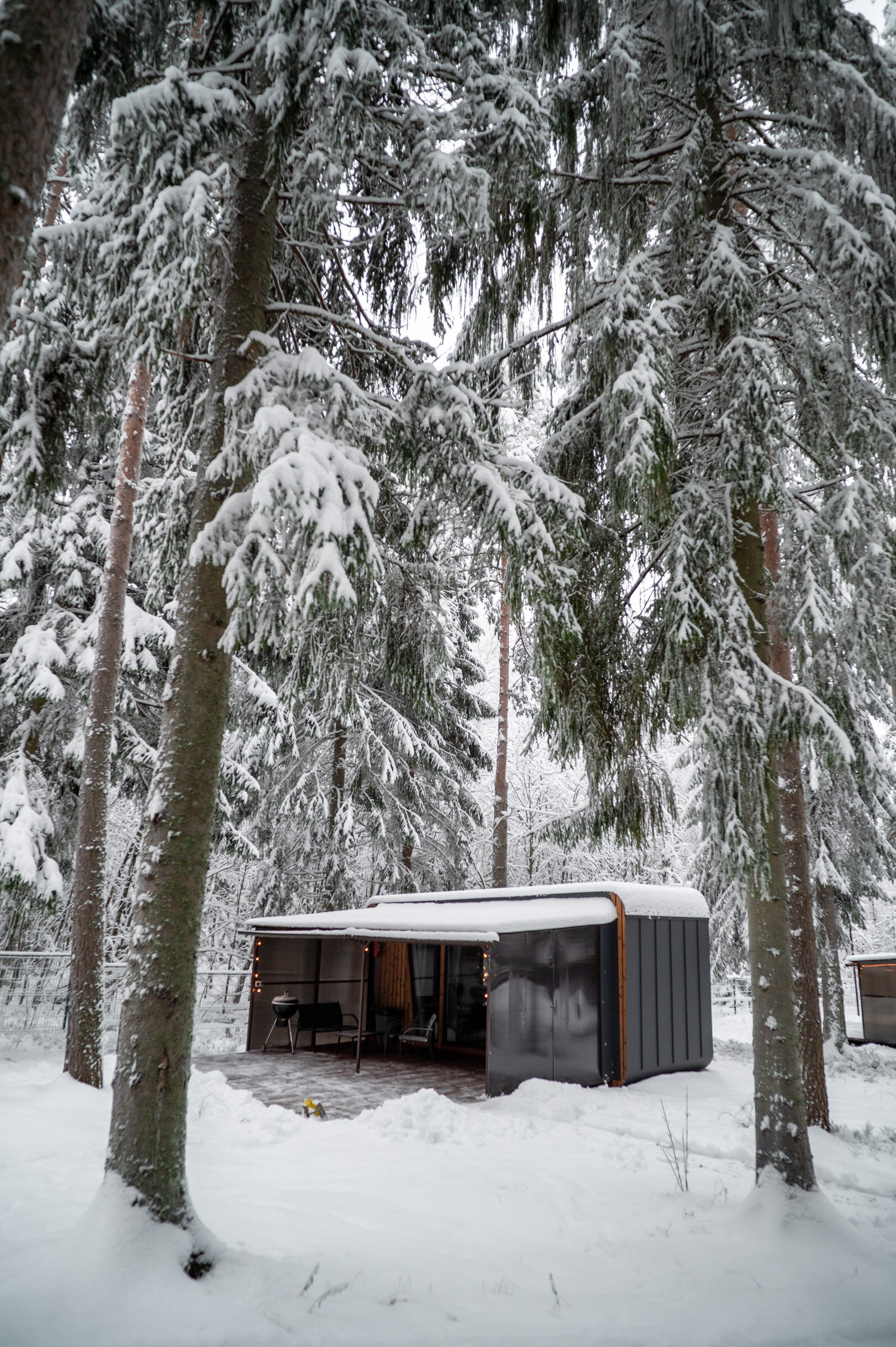 Фото Ёлки и Горки