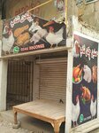 Hasnain chicken shop (Province of Sindh, Karachi, Gulistan-e-Johar, Gulistan-e-Johar Block 18), egg and poultry meat