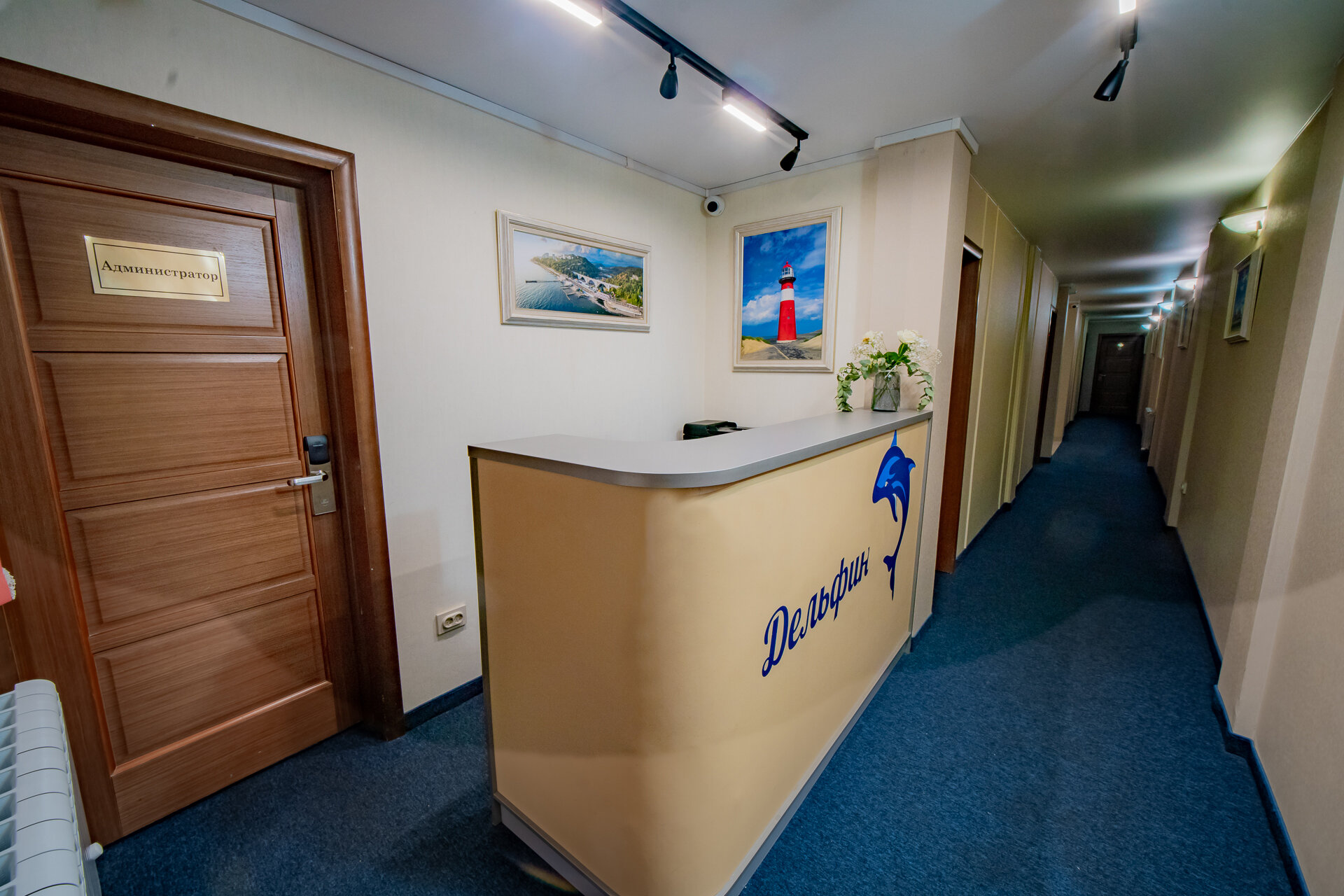 Фото Дельфин