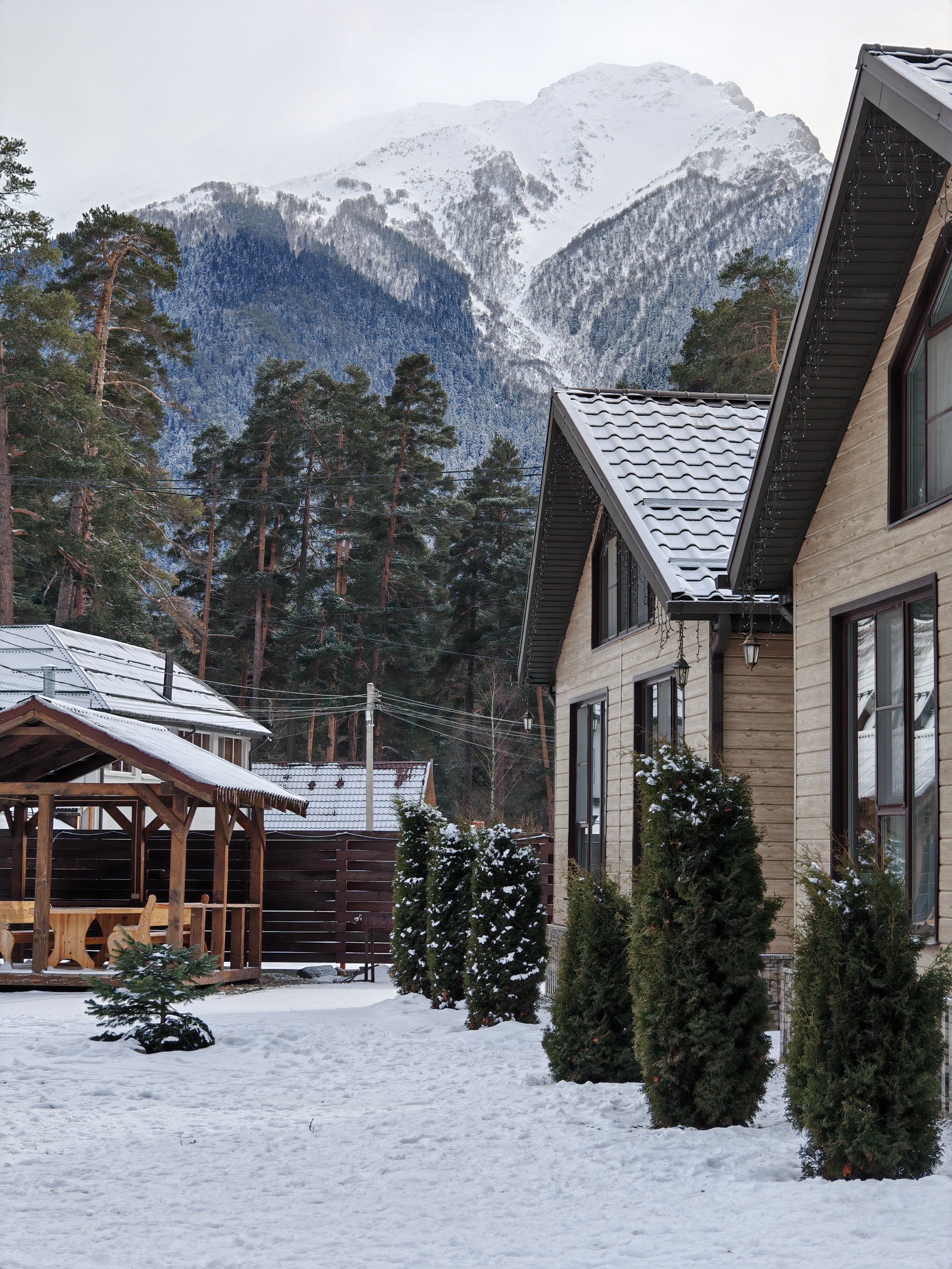 Фото Силагор