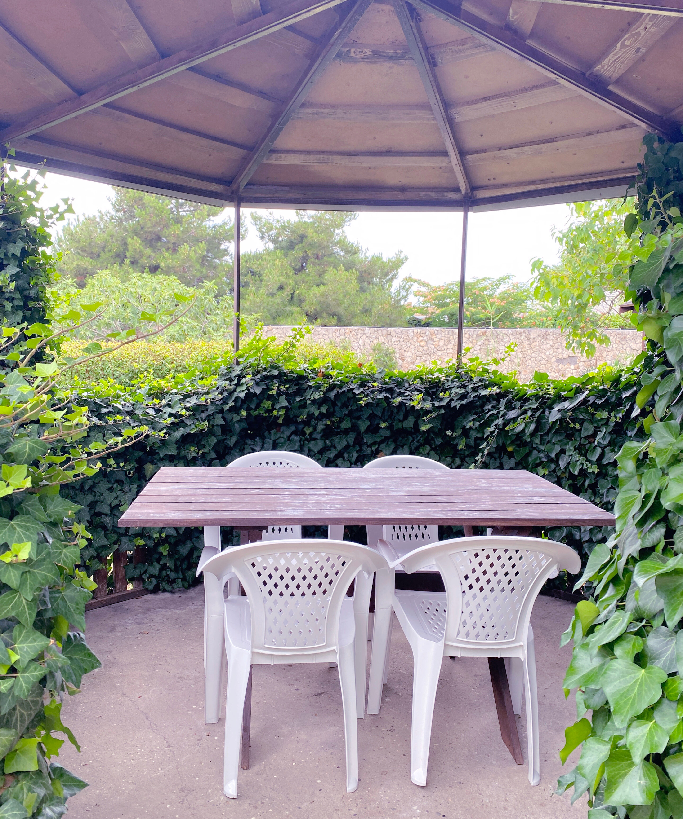 Фото АвокаДа