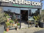 Bahcesehir Flower (Istanbul, Avcilar, Tahtakale Neighborhood, Firat 1 Avenue, 2A) ، محل زهور