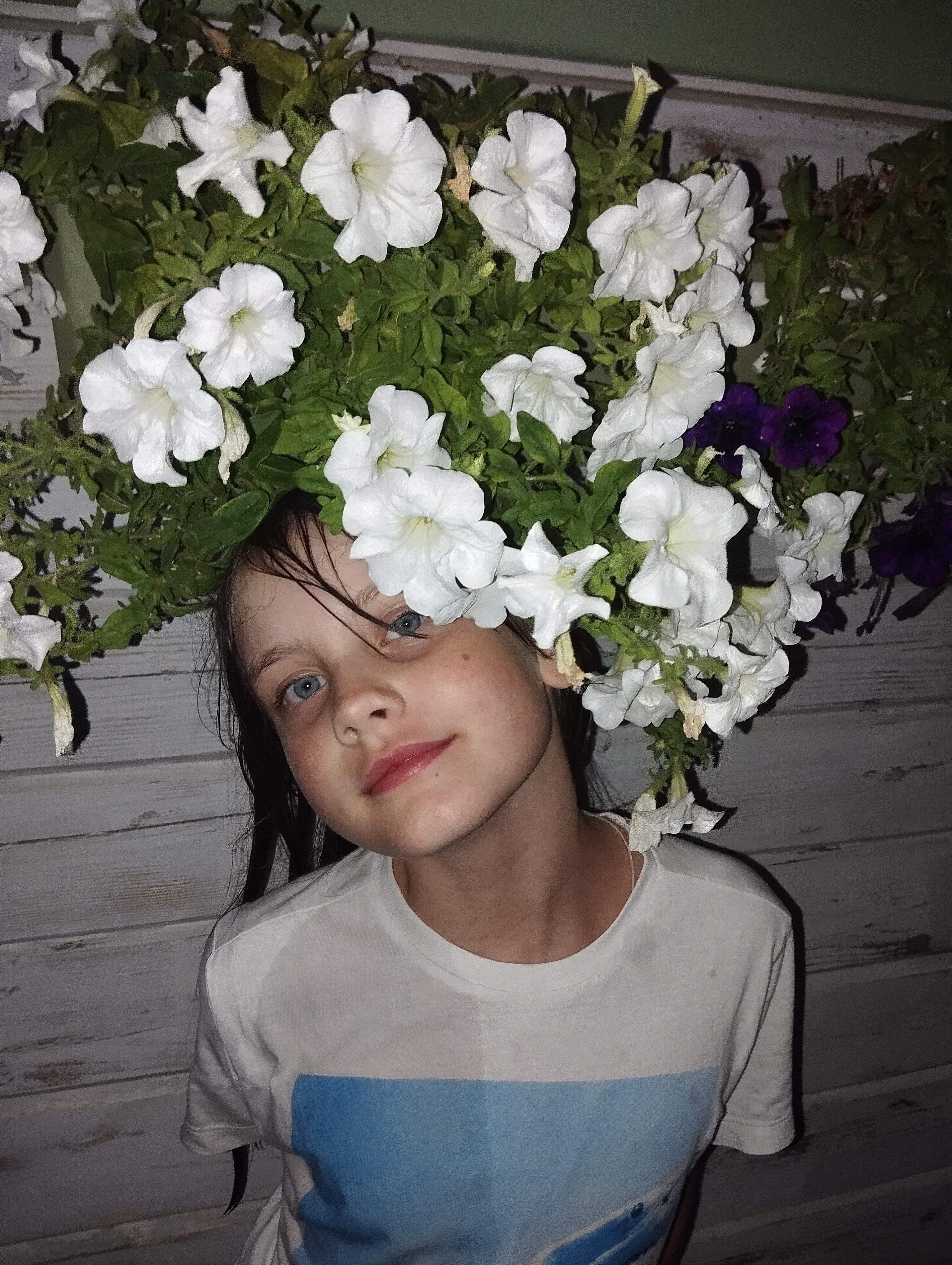 Фото В долине