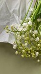 Premier Flowers (Sharikopodshipnikovskaya Street, 13с89), wholesale company