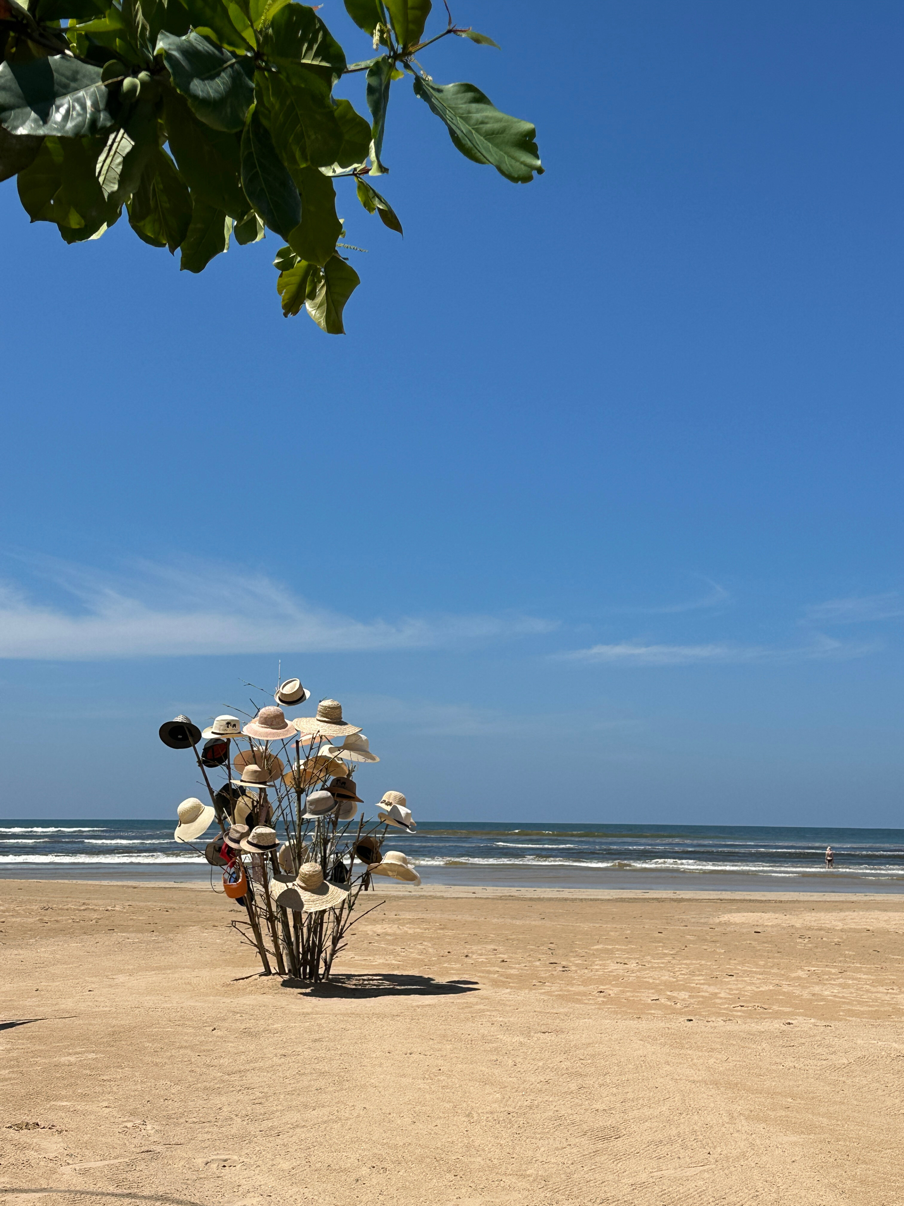 Фото Heritance Ayurveda