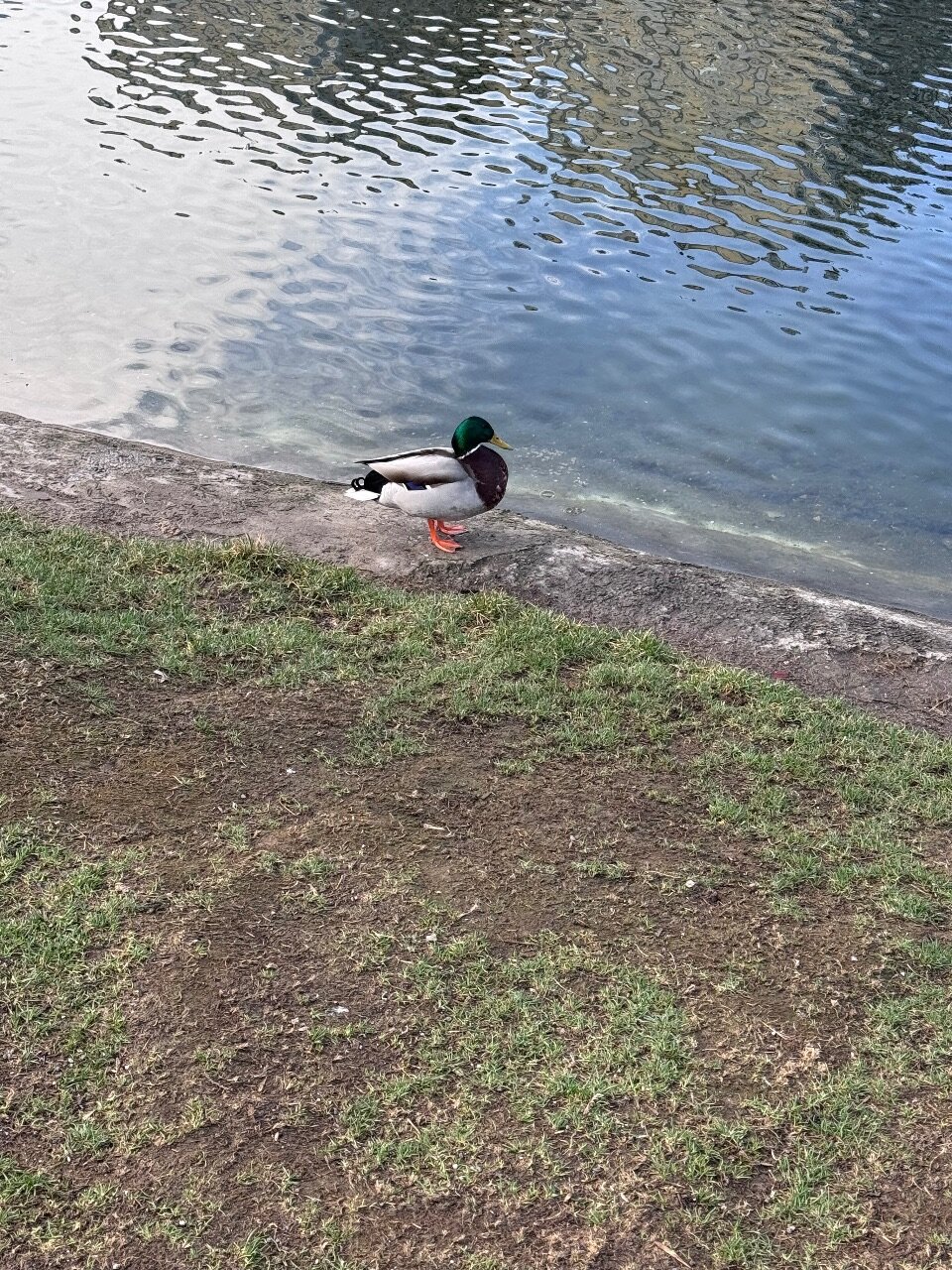 Фото АйТи Отель