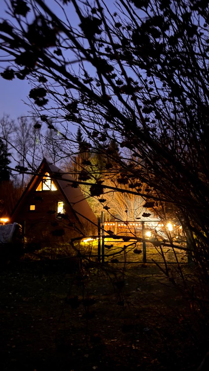 Фото Лисичкин дом