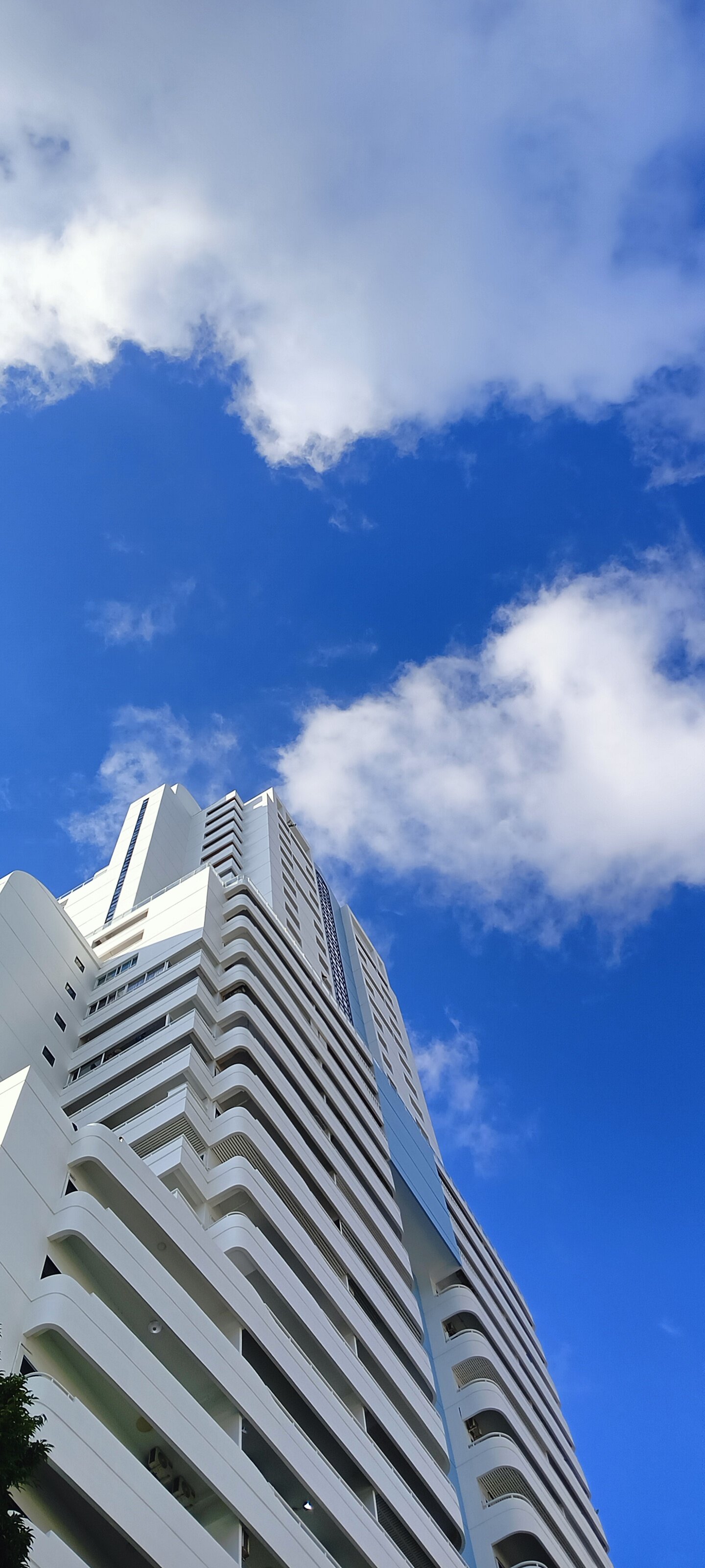 Фото Patong Resort