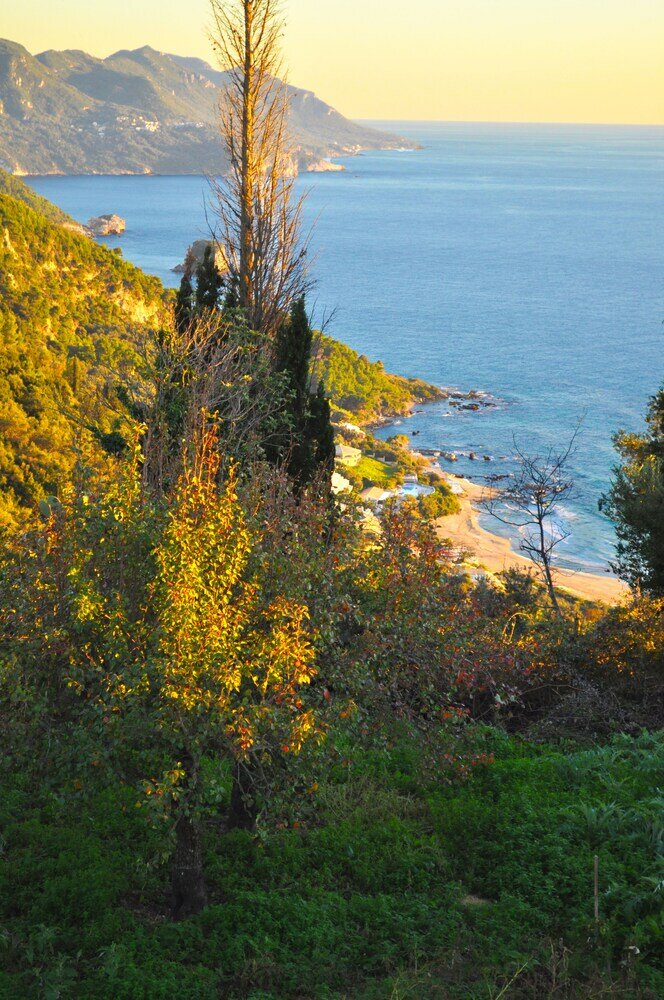 Фото Lemoni Apartments