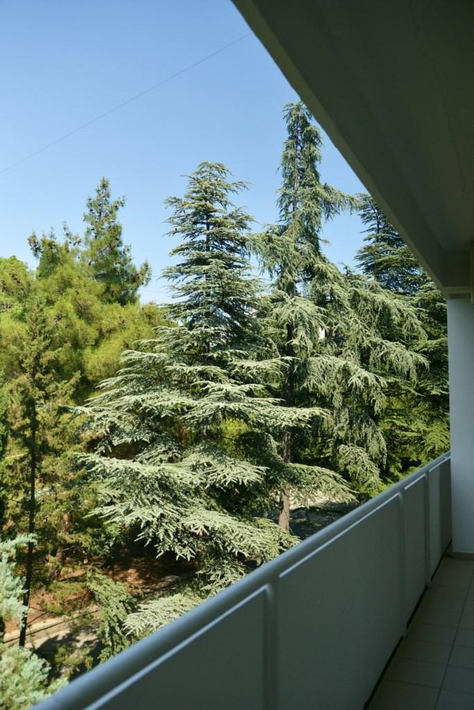 Фото Адмирал Ялта