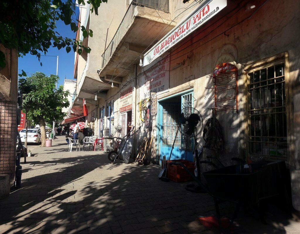 Electronic goods store Ozekin Electric & Energy, Omerli, photo