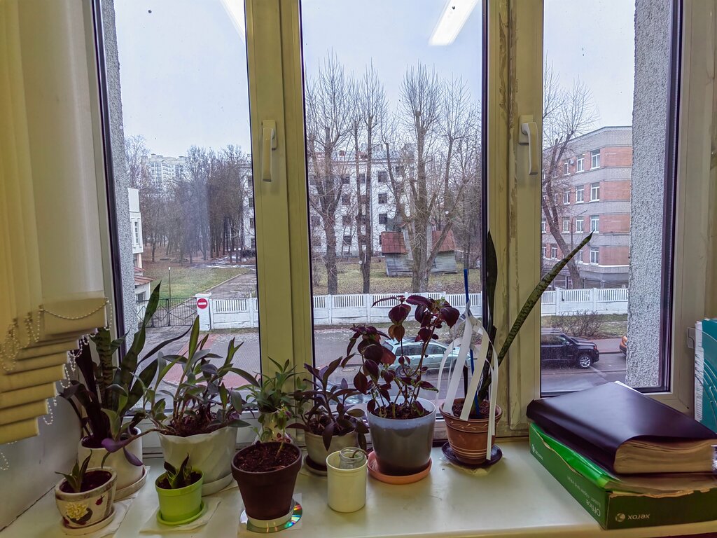 Education infrastructure БГАС, кафедра гуманитарных наук, Minsk, photo