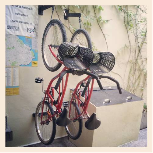 Фото Sabatico Travelers