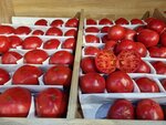 Магазин овощей и фруктов (derevnya Aduyevo, 19/1) ، greengrocery