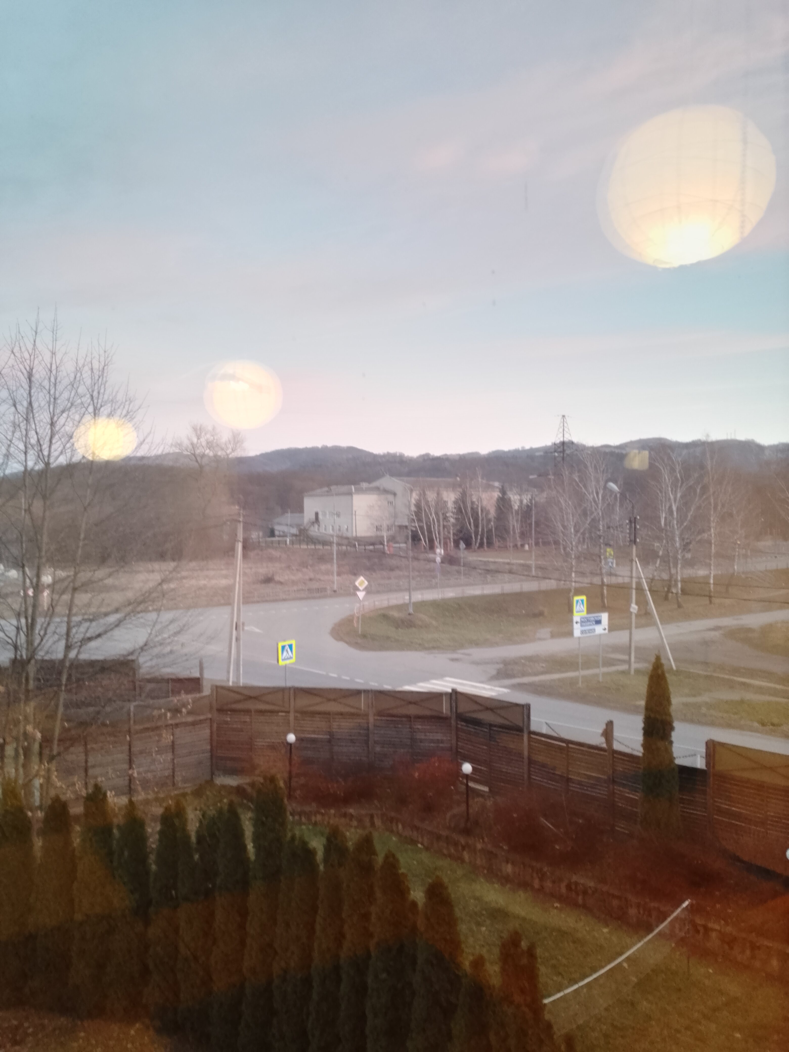 Фото Березки