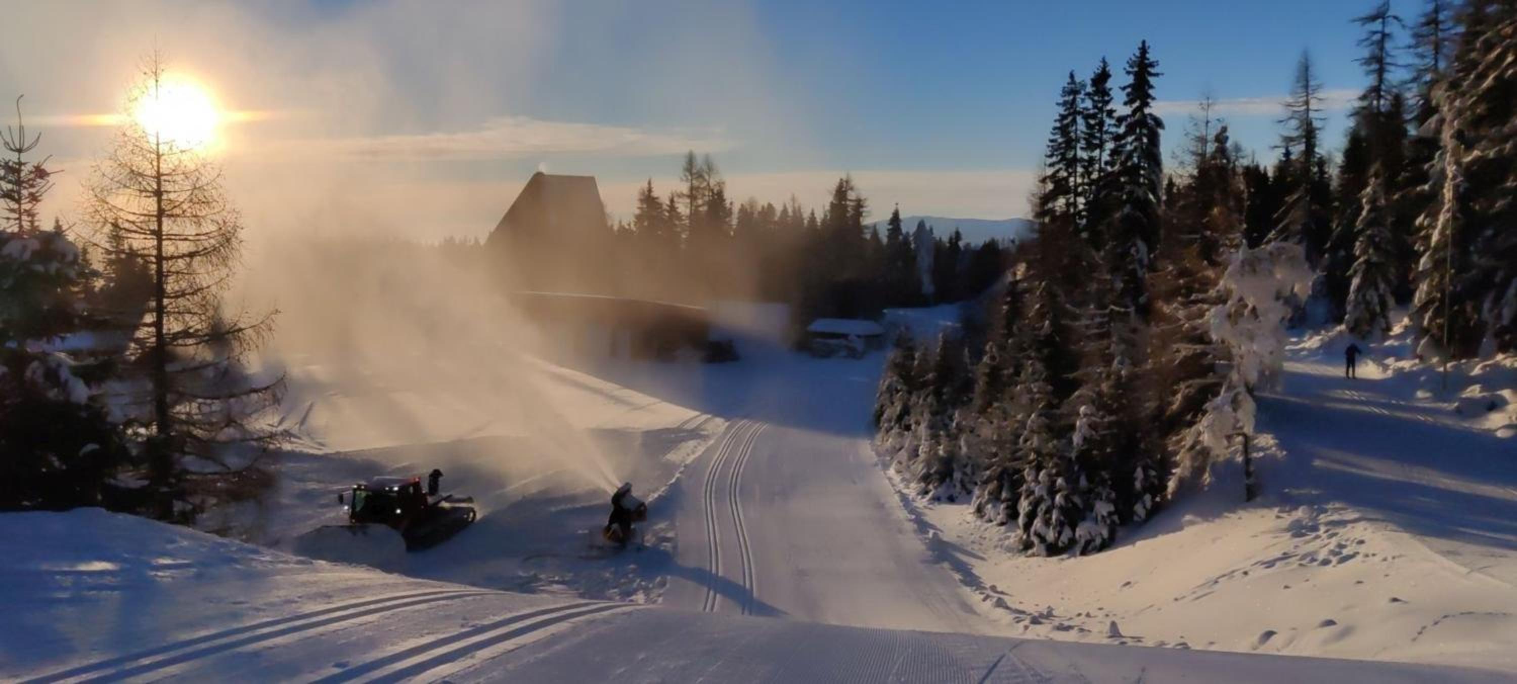 Фото Hotel Crocus