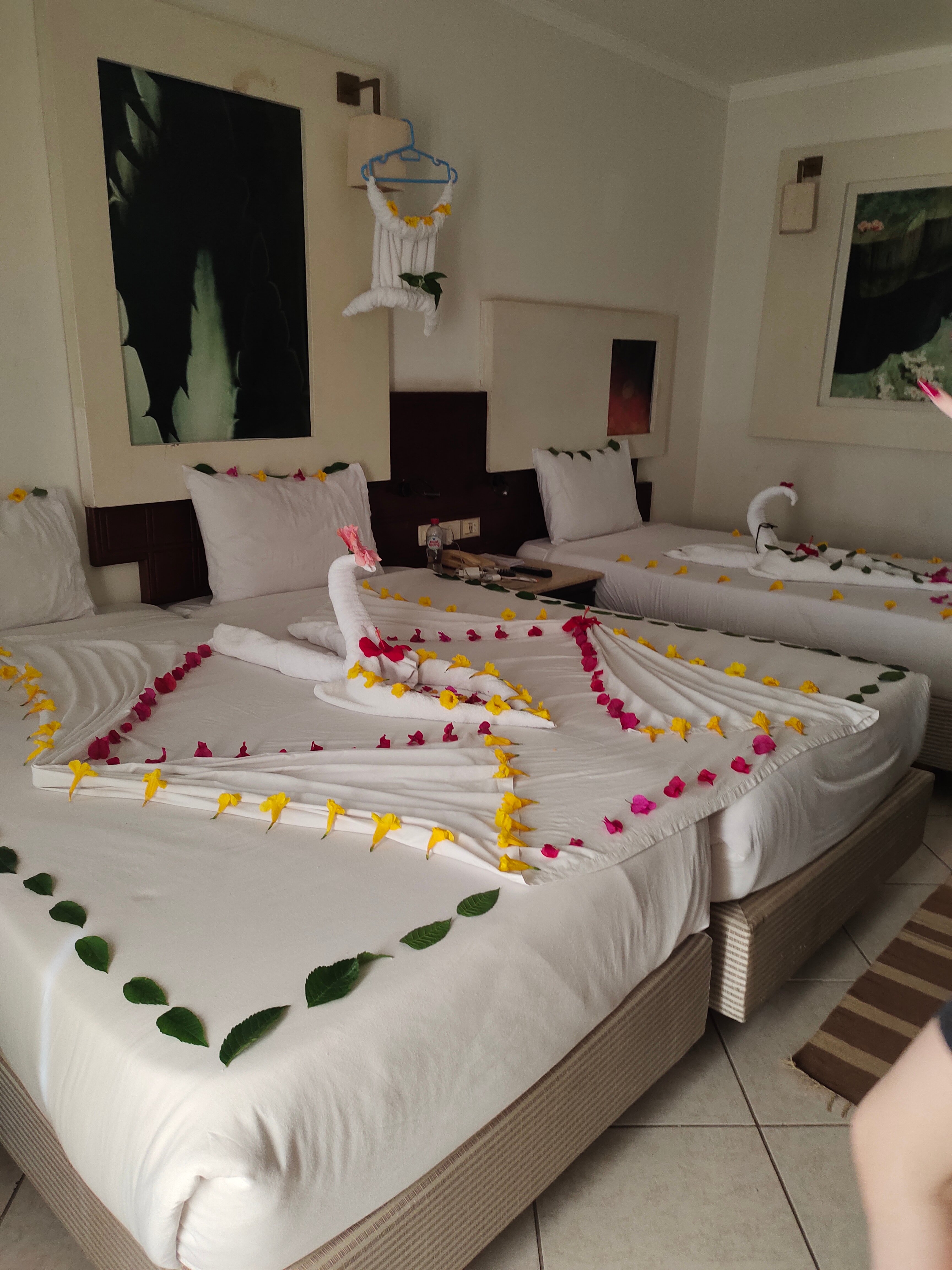 Фото Sharming Inn Hotel