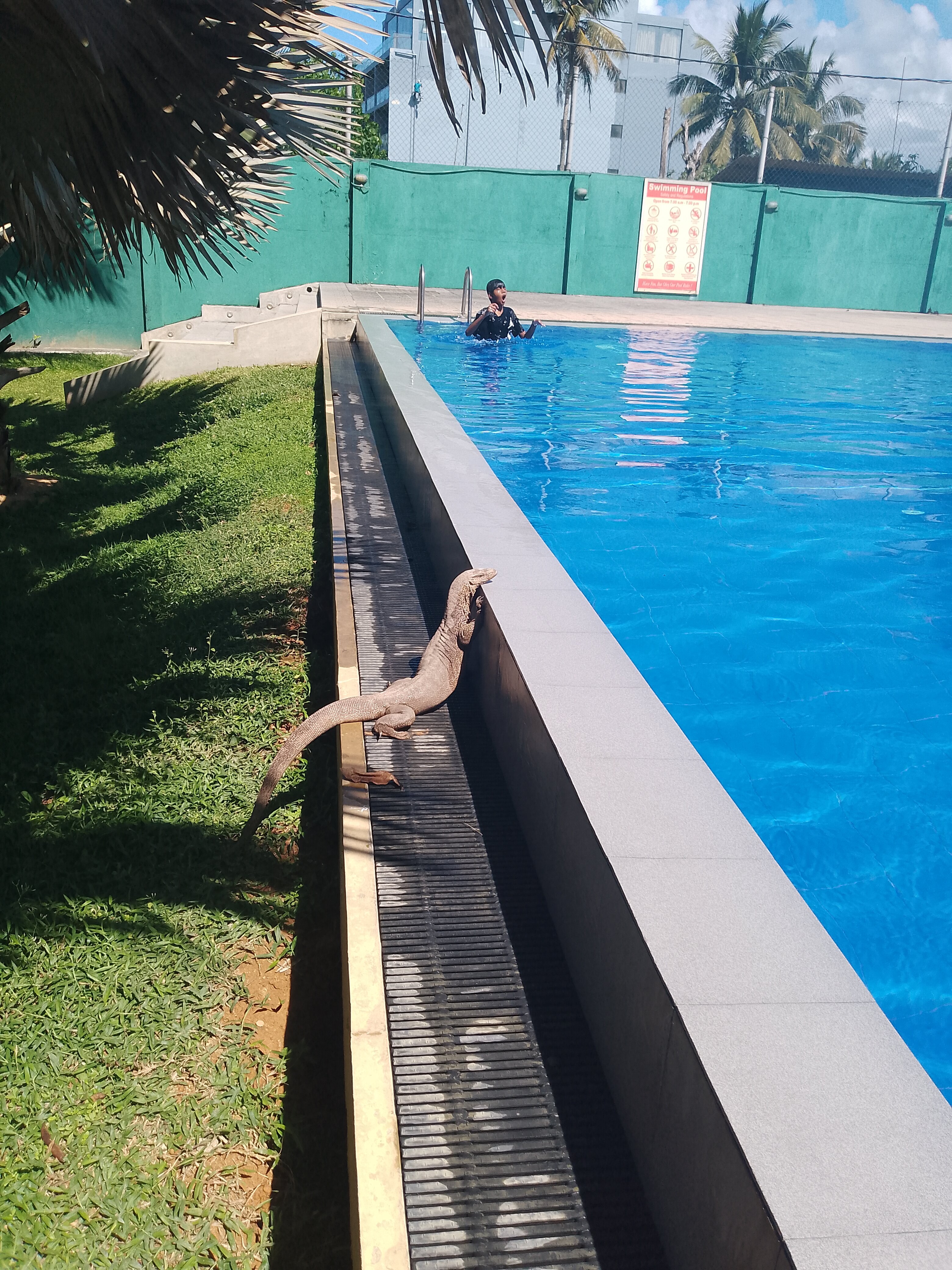 Фото Hibiscus Beach Hotel & Villas