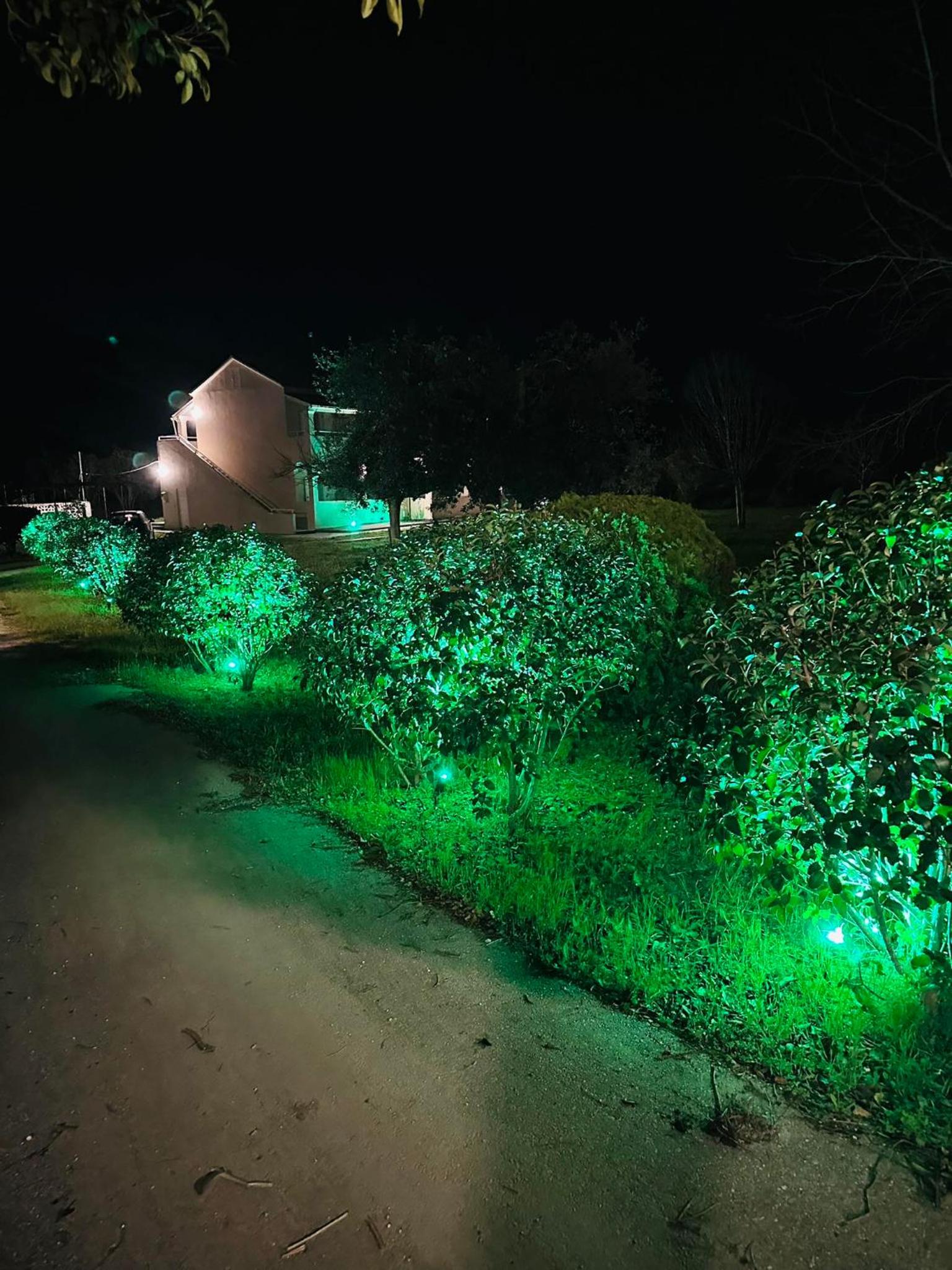 Фото Marina Studios