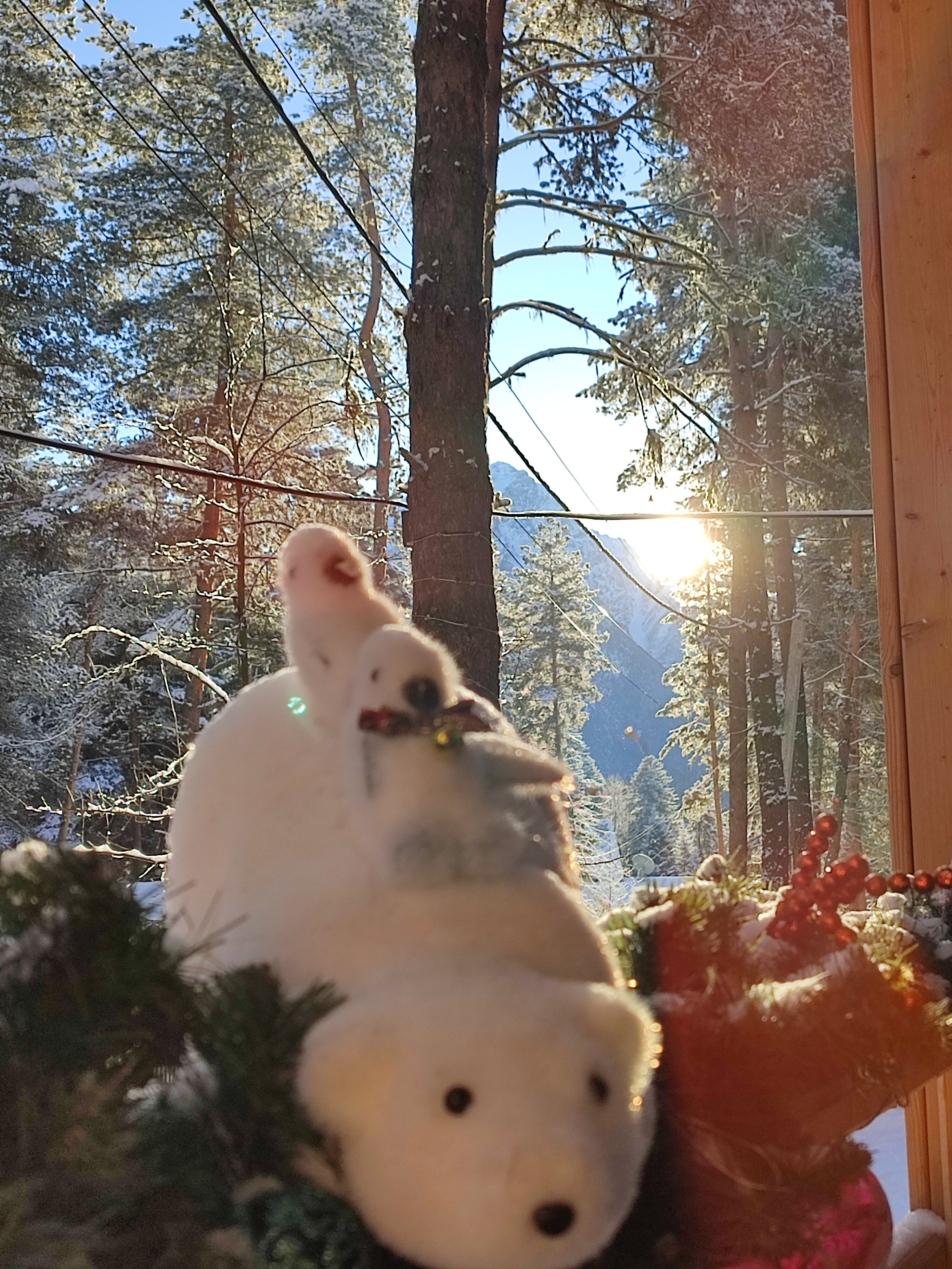 Фото Aspen House