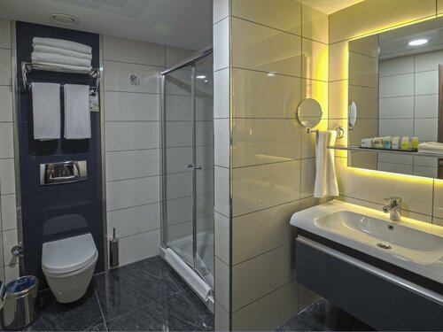 Гостиница Fesa Business Hotel в Гебзе