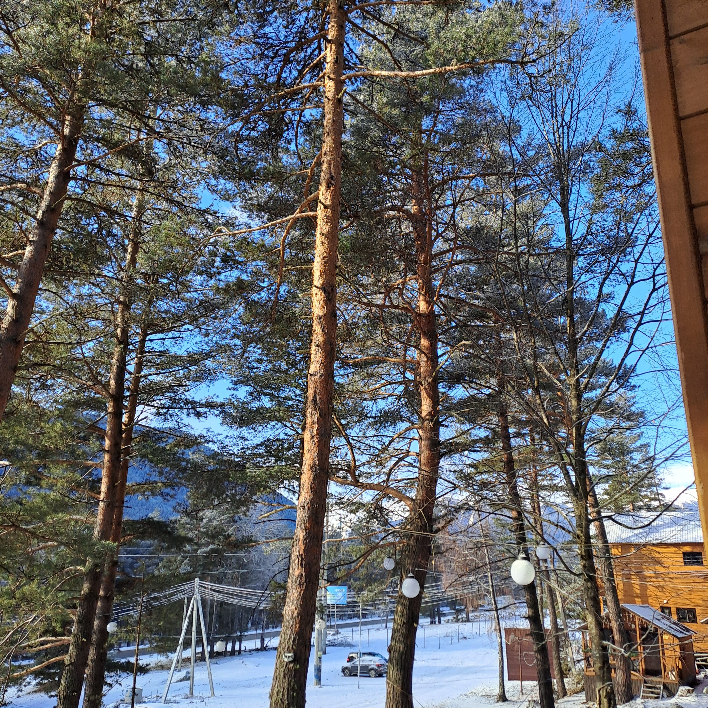 Фото Ness.village