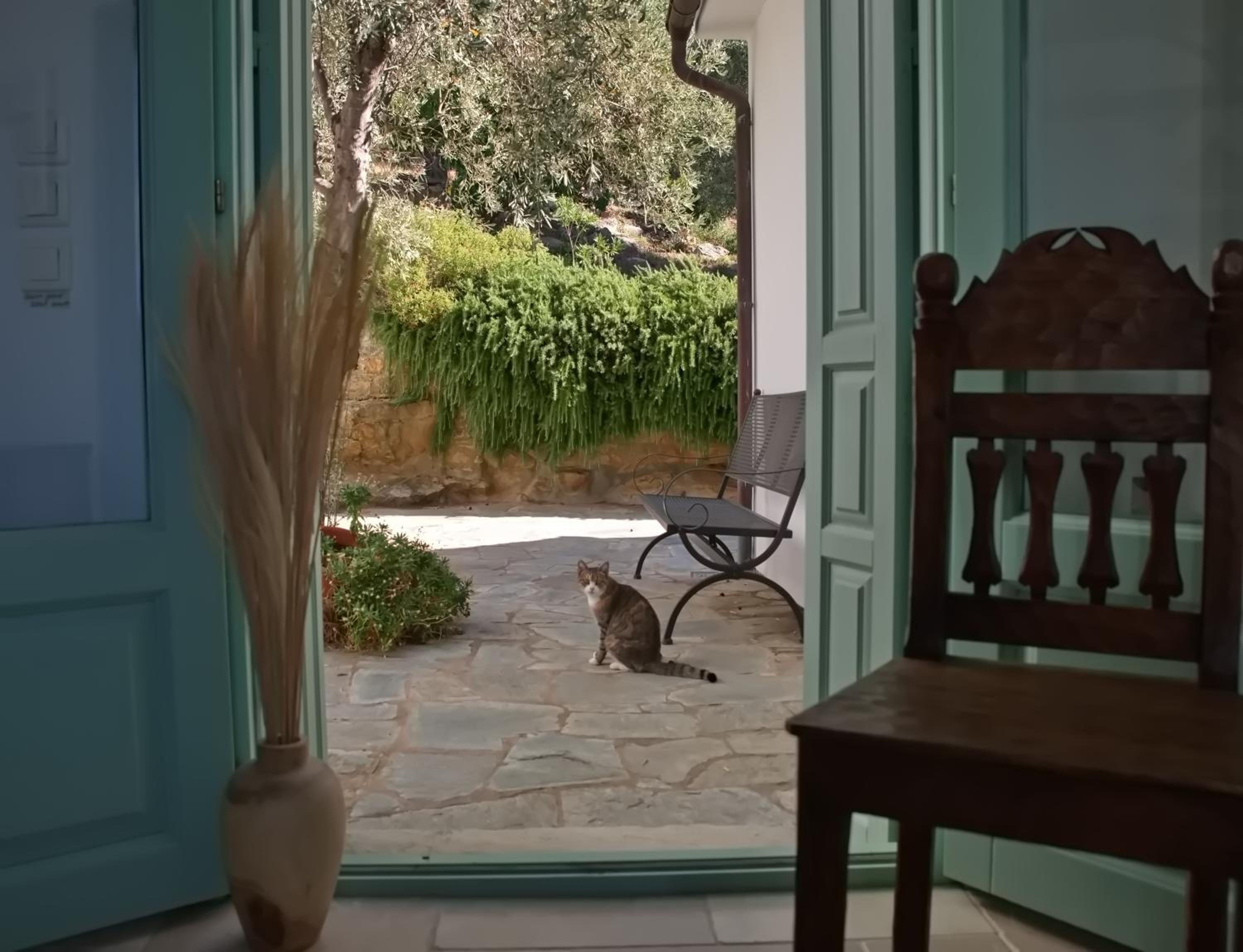 Фото Aquilo Villa