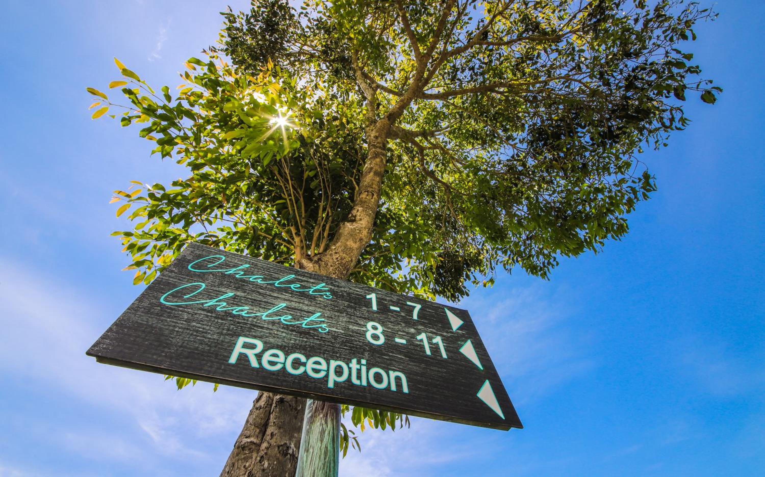 Фото 133101681519