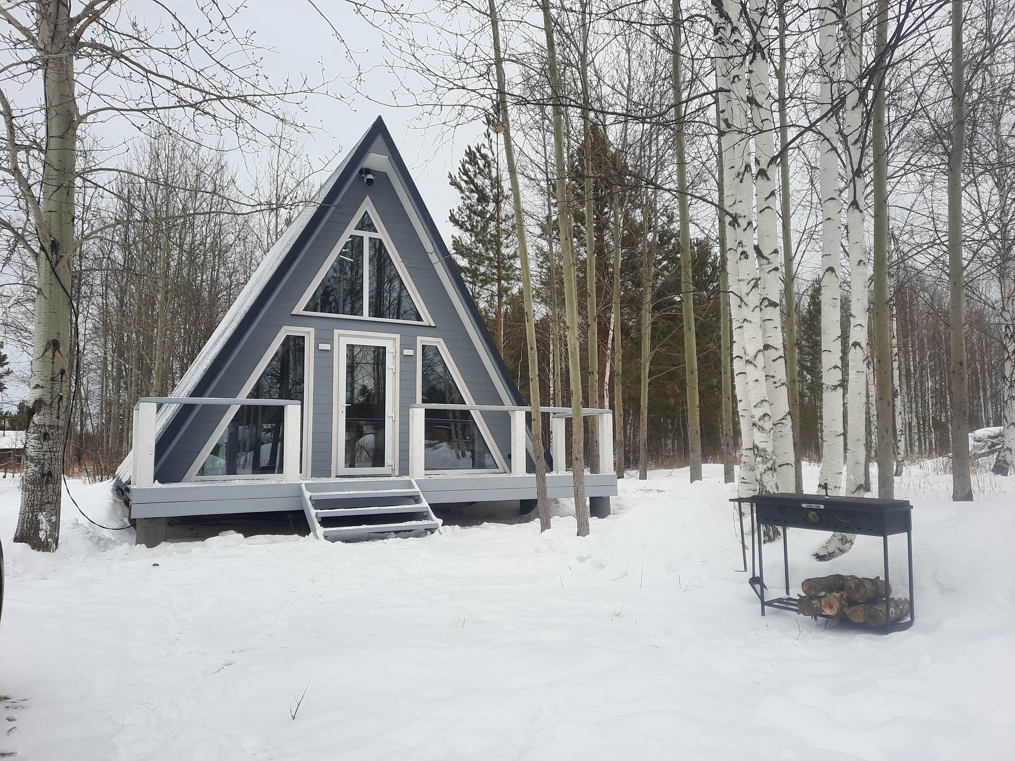 Фото Свобода леса