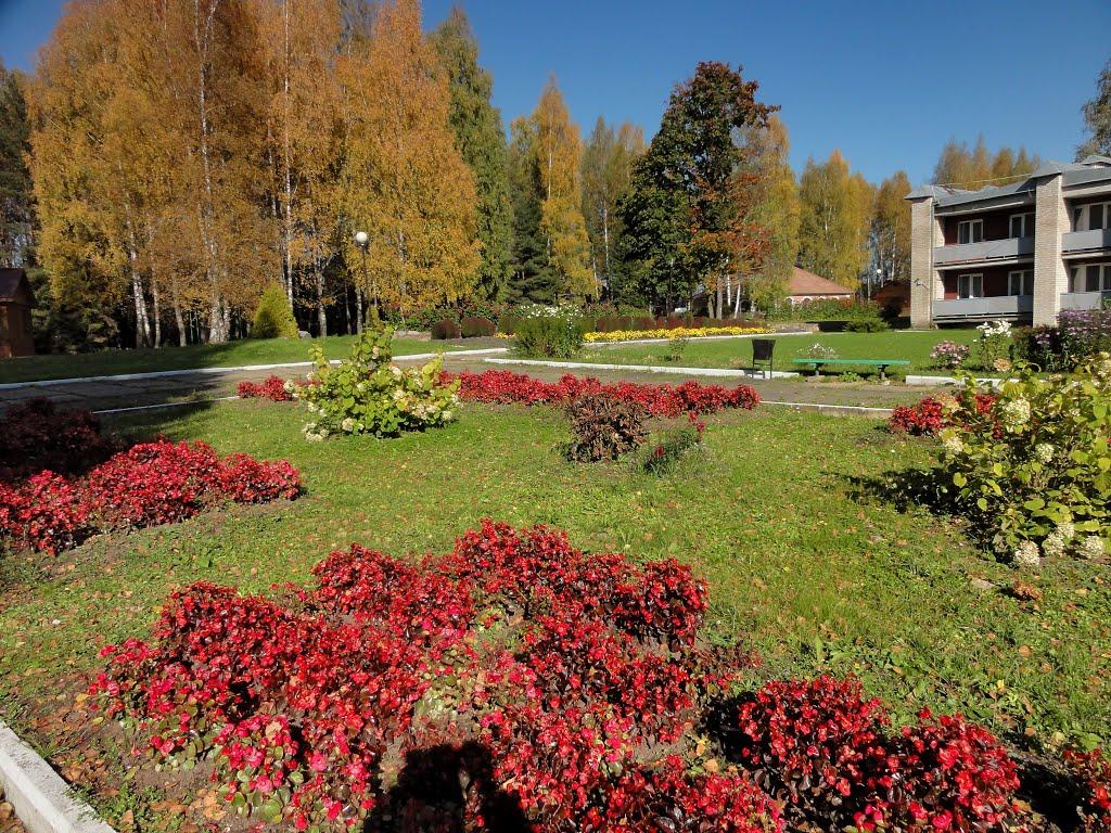 Фото Пушкиногорье