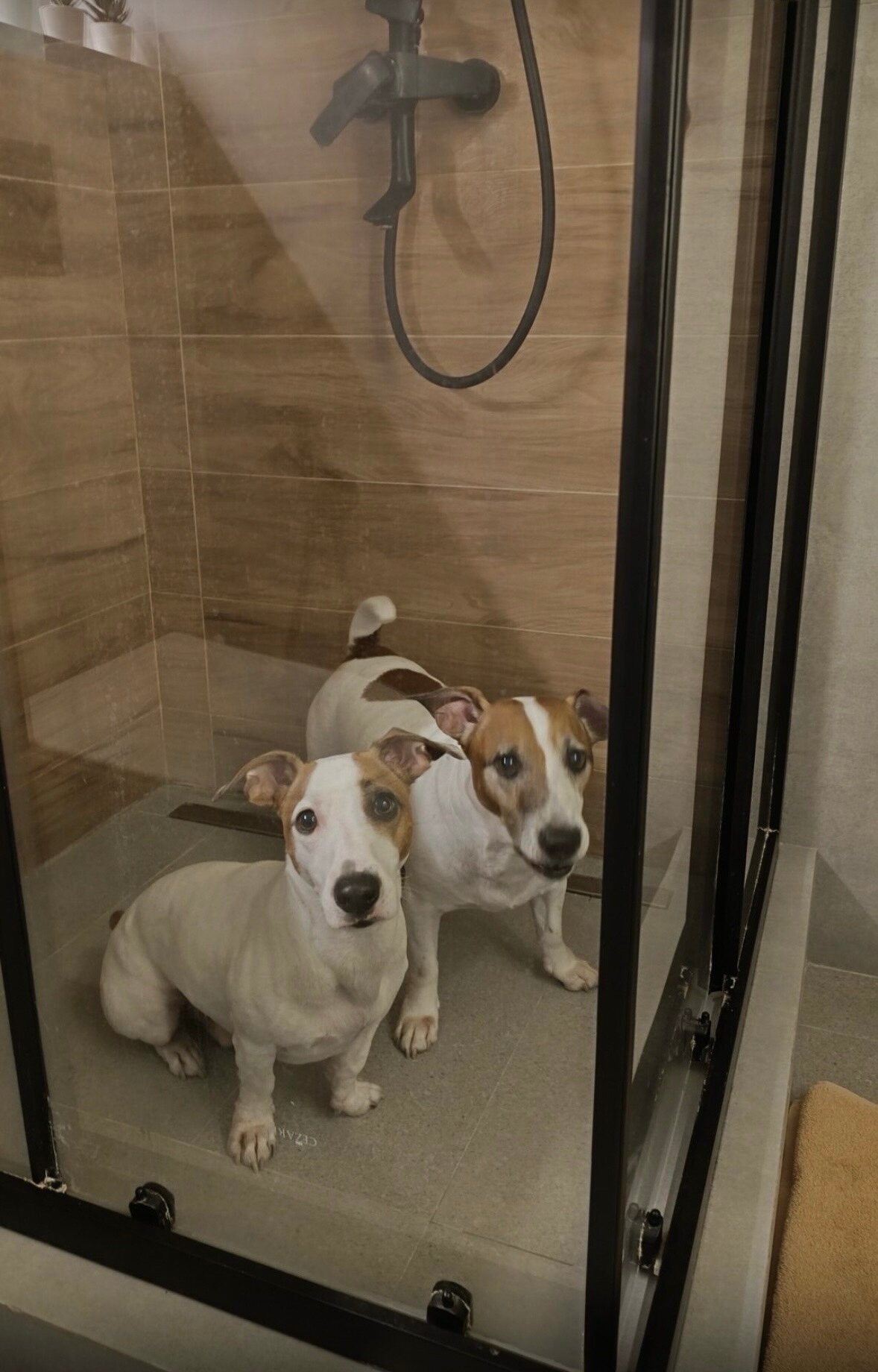 Фото Смарт квартира