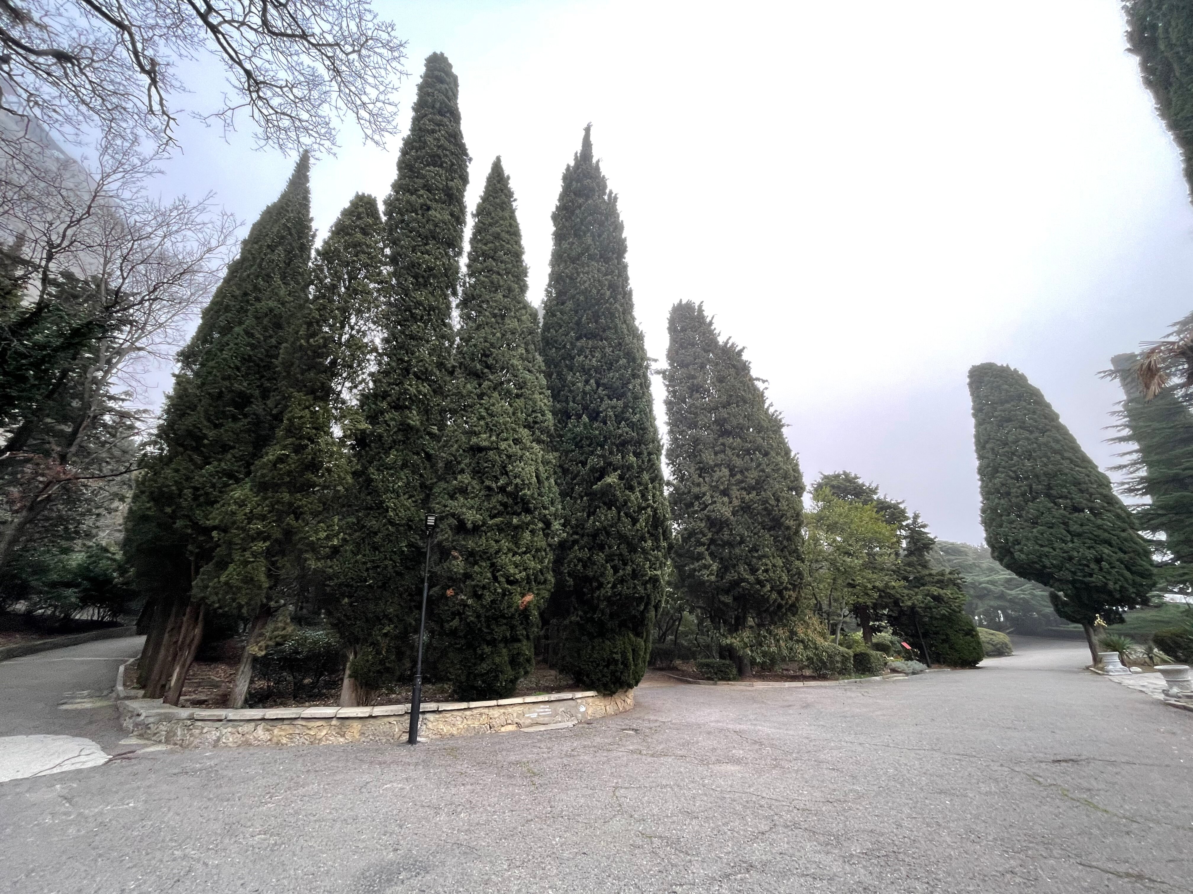 Фото Мисхорский парк