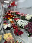 Tsvety (ulitsa Maksima Gorkogo, 110), flower shop