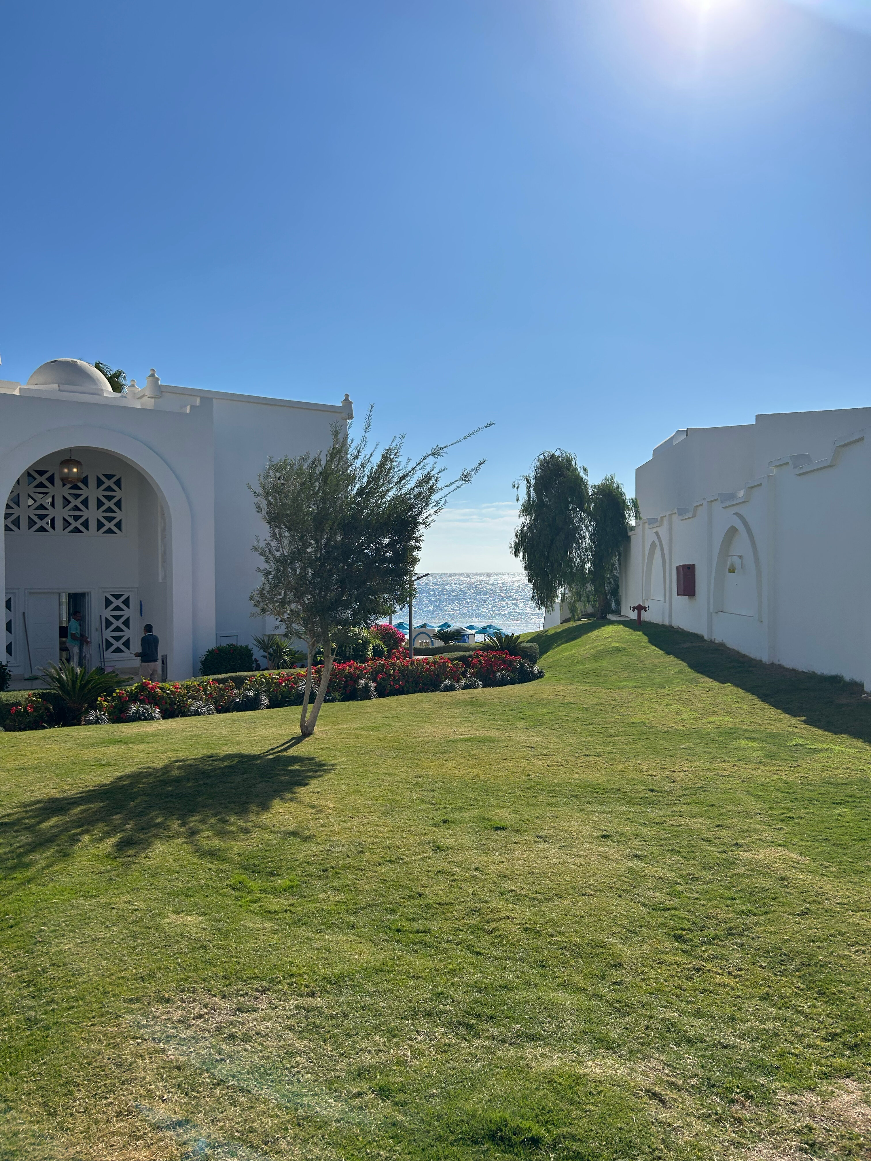 Фото Pickalbatros Palace Resort