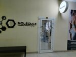 Molecule (Moskovskoye Highway, 47), hairdresser