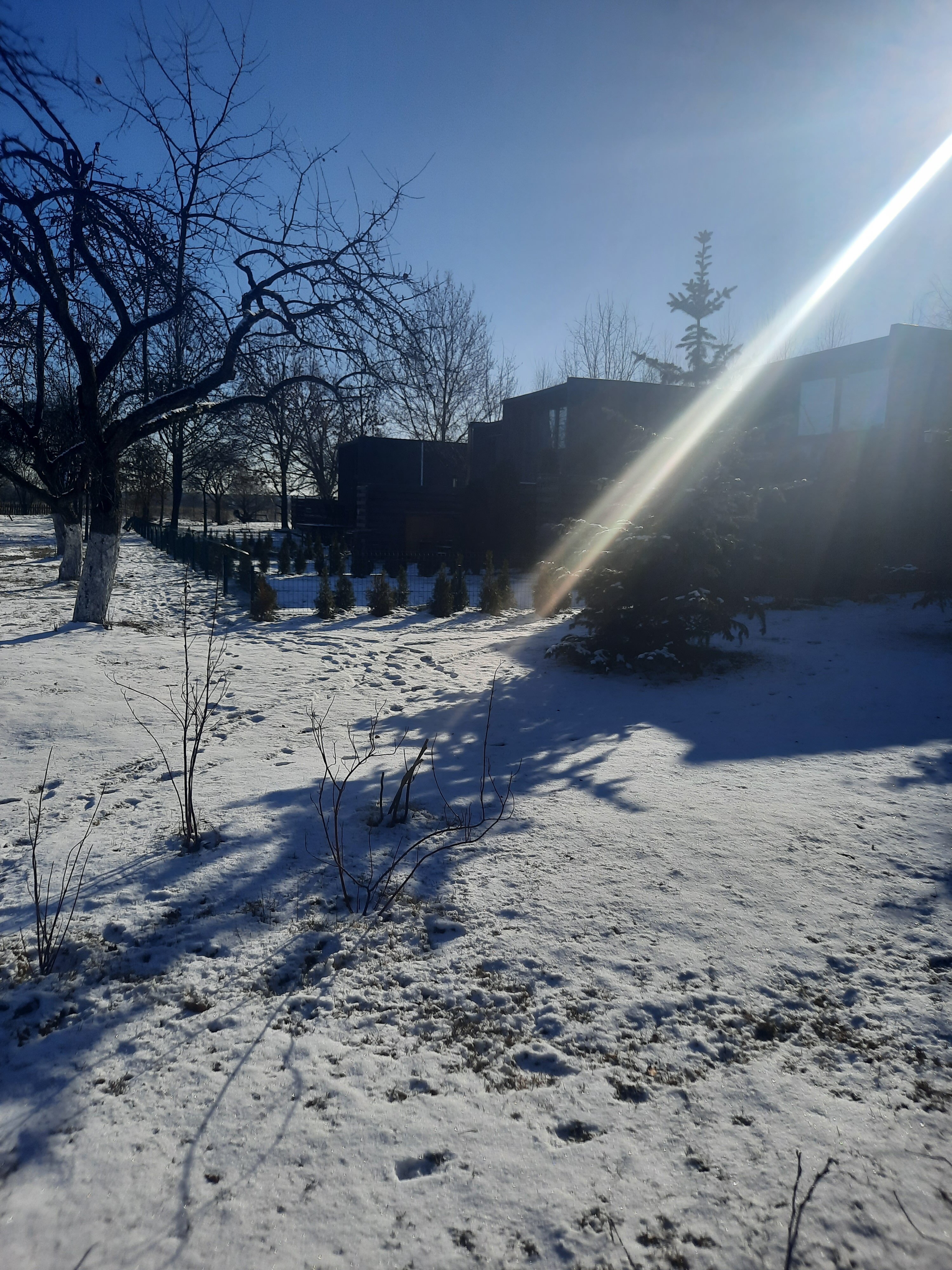 Фото Village Drewno