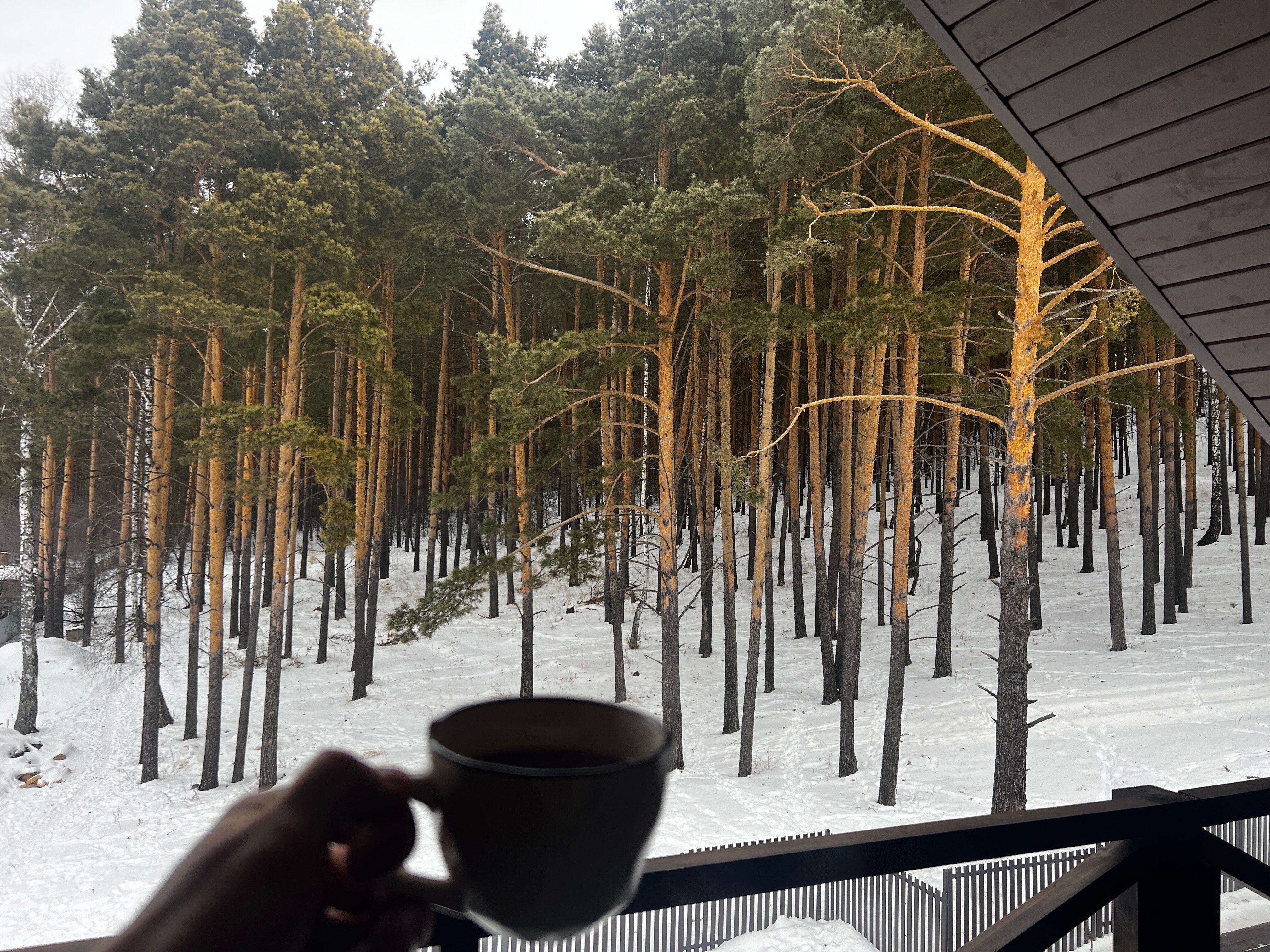 Фото Усадьба Аксакова