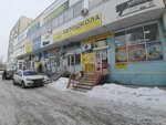 Профессионал 63 (9th Quarter, Tupoleva Boulevard, 12А), driving school